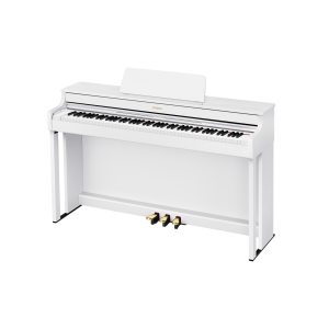 AP-300WE | CELVIANO