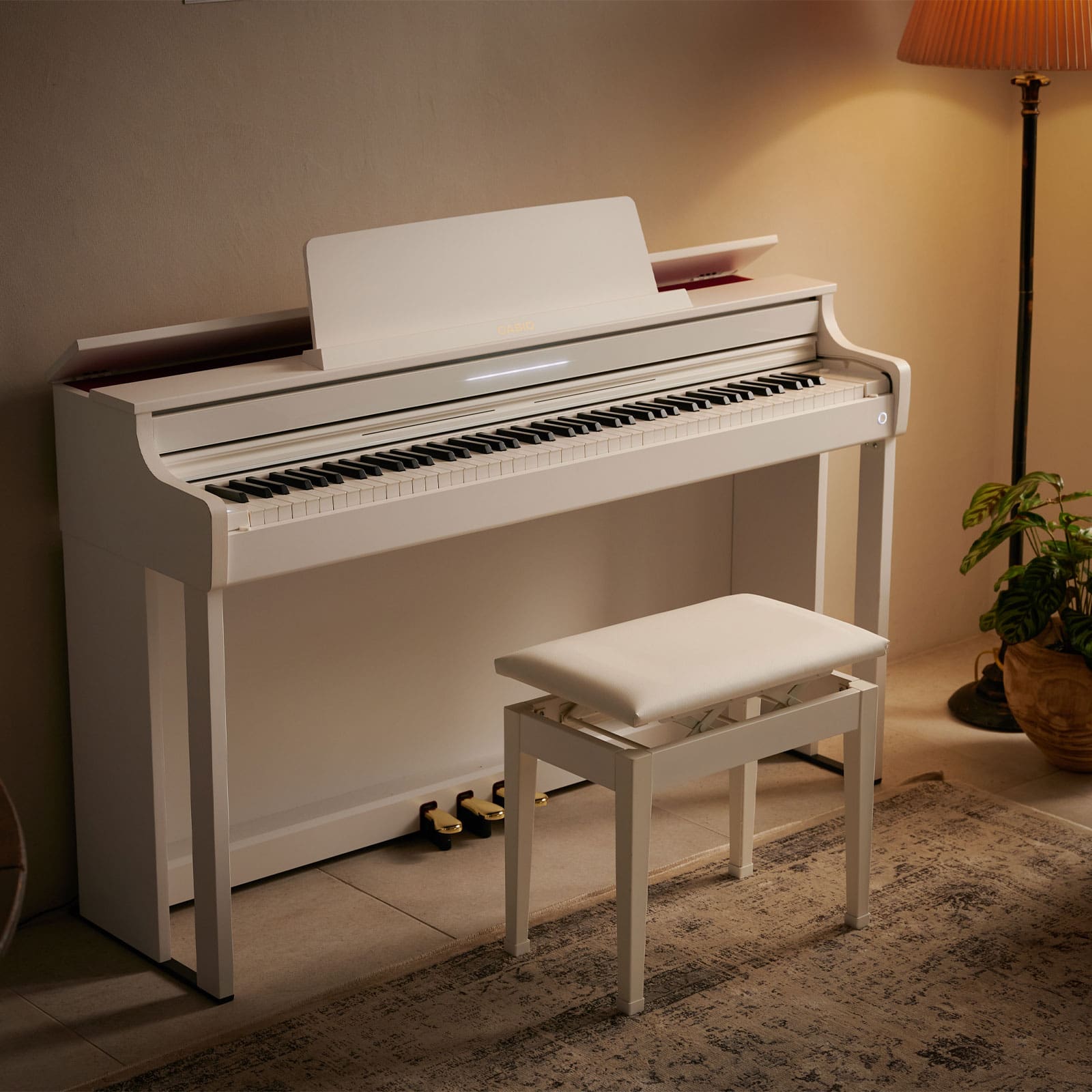 AP-550WE | CELVIANO - Image 2