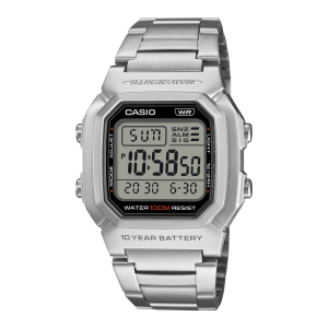 W800HD-1AV Silver